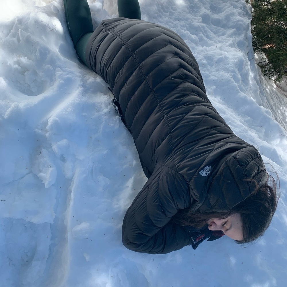 The north face thin puffer jacket